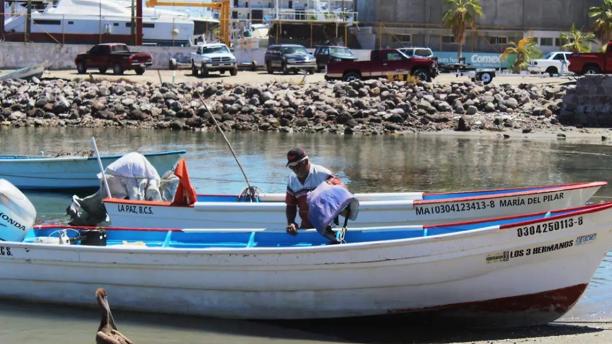 Pescadores BCS seguro vida